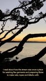 An orange sky at dusk with silhouetted trees. At the bottom of the frame read the words "I read about how the stream was once a place for washing flax garments and preparing fibres to make nets, ropes and kākahu with."