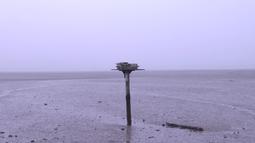 A bird house stands atop a wooden pole in a deserted wetland.