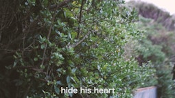 A griselinia shrub, the words hide his heart are written at the bottom of the frame
