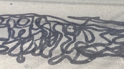 A squiggly black line is drawn on concrete.