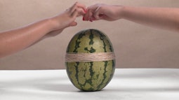 Two hands are pulling rubber bands over a watermelon that sits centred on a white table.