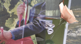 Multiple collaged images overlaid on top of one another are; a singular rose, a mailbox stuffed with newspapers, a person opening their purse.