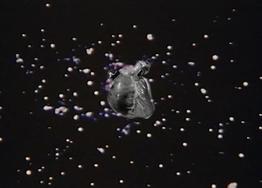 A black and white heart overlaid on an archival image of a starry night sky