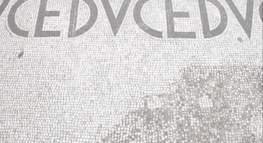 A mosaicked floor with partially obscured text reading "CEDVCEDV"