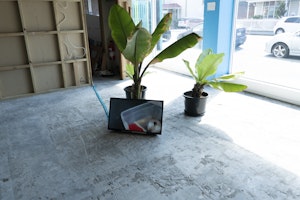 A TV screen on a concrete floor leans up against a large plant within a brightly lit room. The TV is playing a video work made by Anna Brimmer as part of Home Movies project by CIRCUIT.