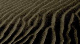 Disquiet