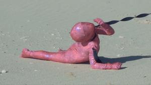 A figure dressed in a full-body holographic pink morph suit crawls along the sand on a sunny beach. They are potentially being walked like a dog or pulled along. This is shown by a black piece of fabric around their neck leading outside of the image to something or someone we can not see.