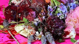 A collection of flowers and meat-like fluid and textures on a pink table.