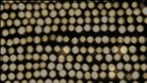 many irregular glowing golden circles appear in a grid format