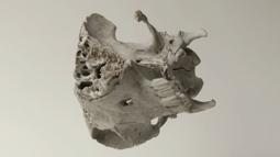 A broken animal skull floats and spins against a beige background.