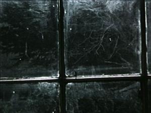 A window frame, looking to darkness with bare tree branches