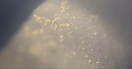 An abstract image of light yellow dust particles or microbes on a light grey hue