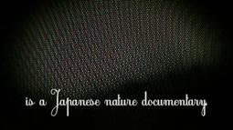 Red, Green and Blue dots resembling pixels fill the screen. At the bottom reads the text, in a Japanese nature documentary.