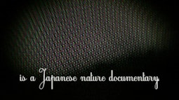 Red, Green and Blue dots resembling pixels fill the screen. At the bottom reads the text, in a Japanese nature documentary.