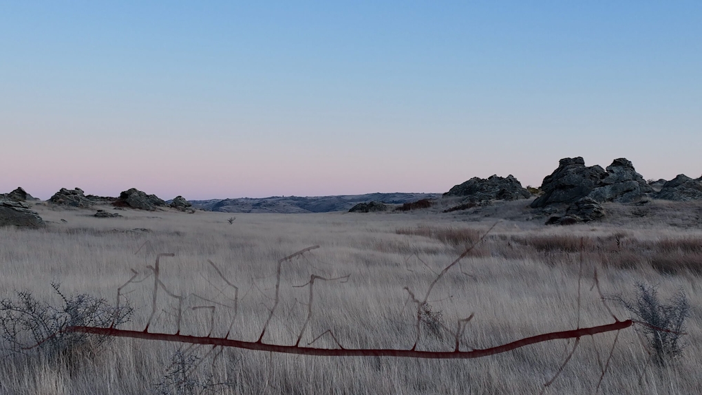 A film still showing a tussock-covered rocky hill at dusk