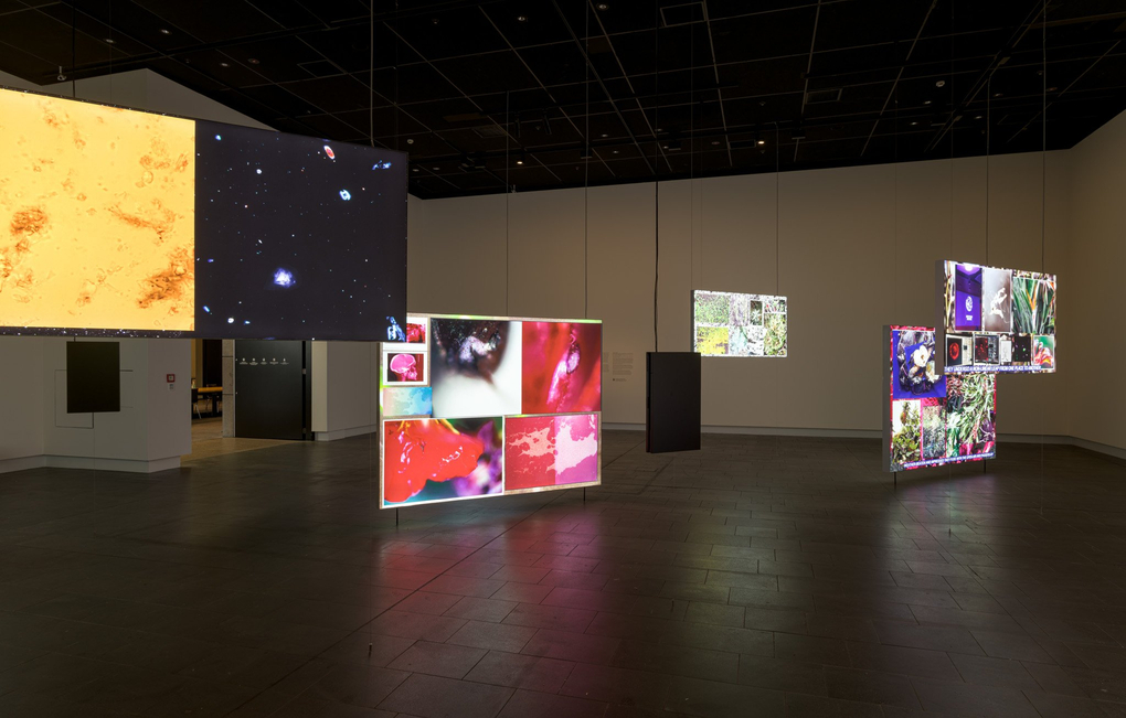 Wider installation view