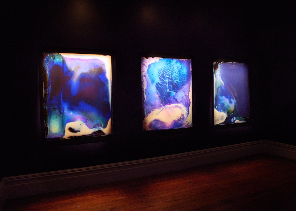 Three abstract panels show bright abstract forms made by natural decay of the photographic surface