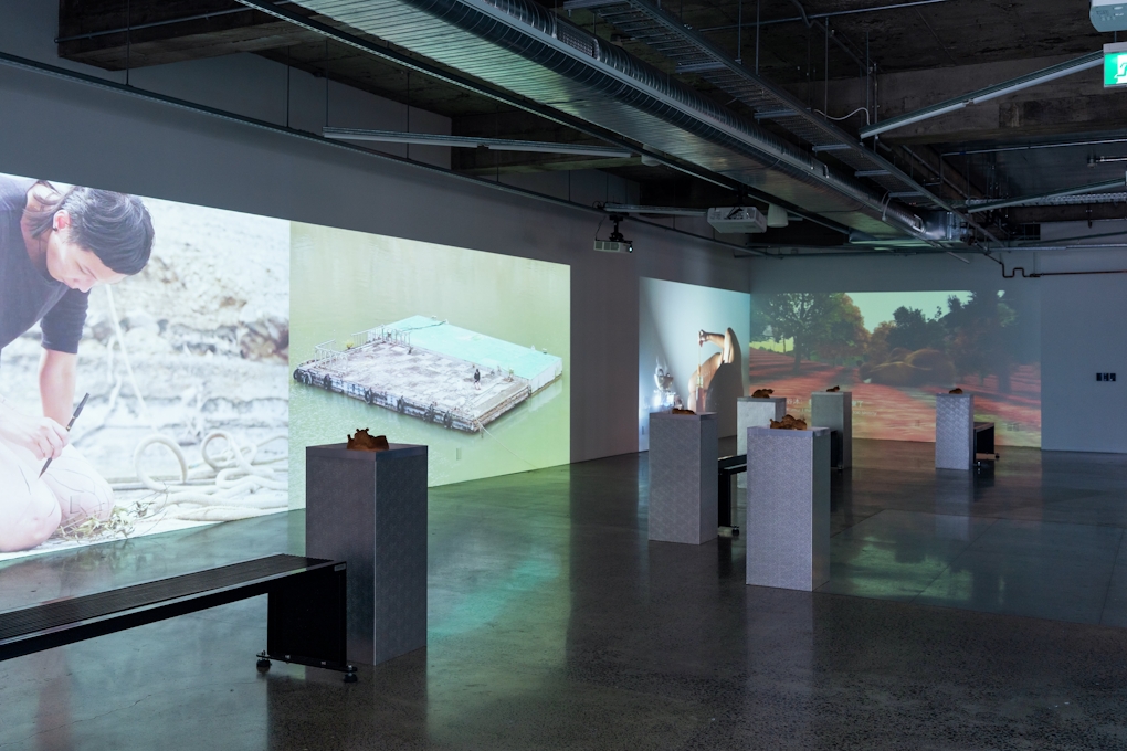 A view of a gallery installation showing video projections on the wall and plinths in the centre. The projected images show a figure engaged in absurd actions including writing on their legs and dribbling honey on themself