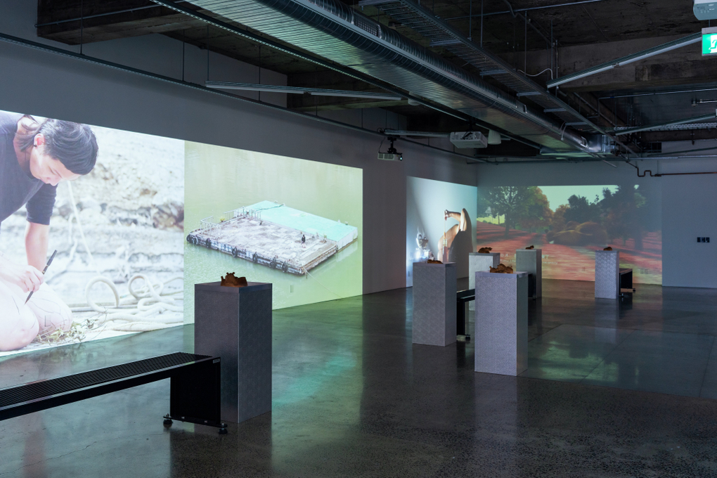 A view of a gallery installation showing video projections on the wall and plinths in the centre. The projected images show a figure engaged in absurd actions including writing on their legs and dribbling honey on themself