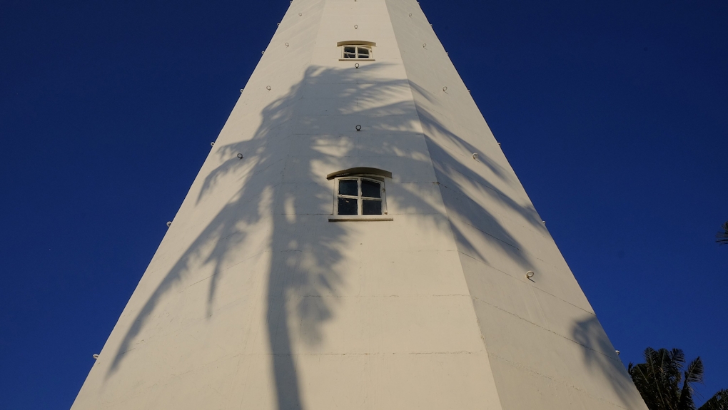 The shadow of a palm tree dances against a tall white tower in front of a bright blue sky