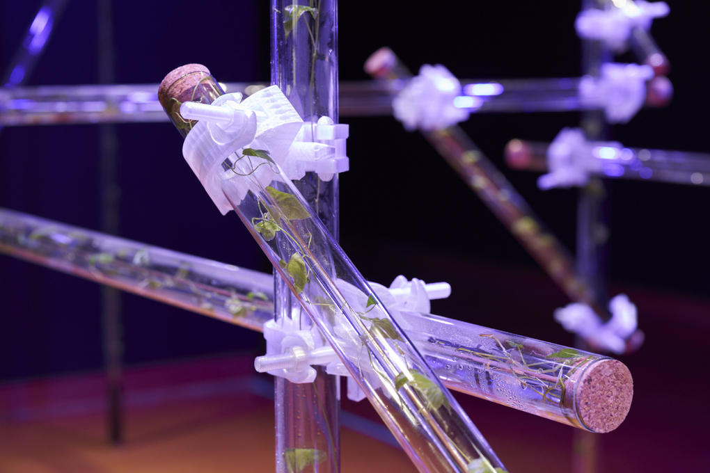 Miranda Bellamy and Amanda Fauteux, Pavilion (2025). Installation view, Radicant, Hocken Gallery, Ōtepoti Dunedin, 2025. Image courtesy of Hocken Collections Te Uare Taoka o Hākena.