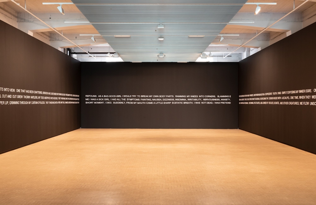 Installation view of Marianna Simnett exhibition, showing text spanning across three black walls of the room