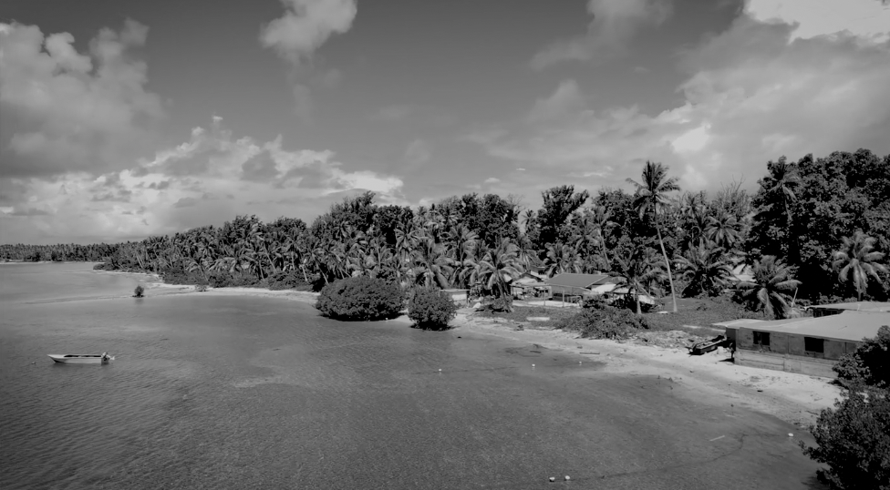A black and white image of the shore of a Pacific island