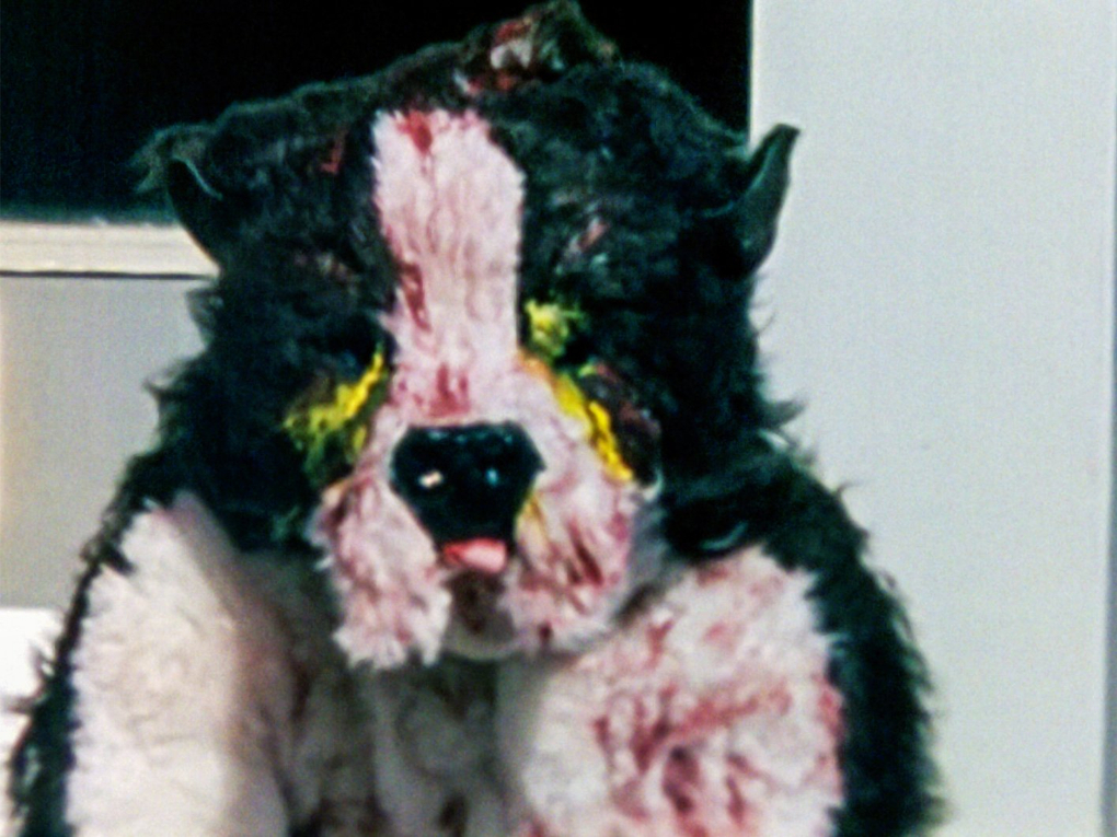 A costume dog stars at the camera. Their fur is white, black and bloodied