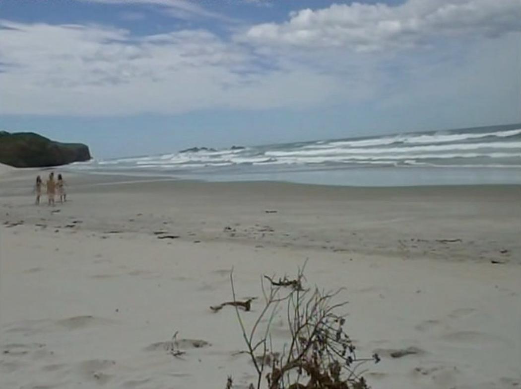 A distant group of people hold hands dancing along a sunny beach