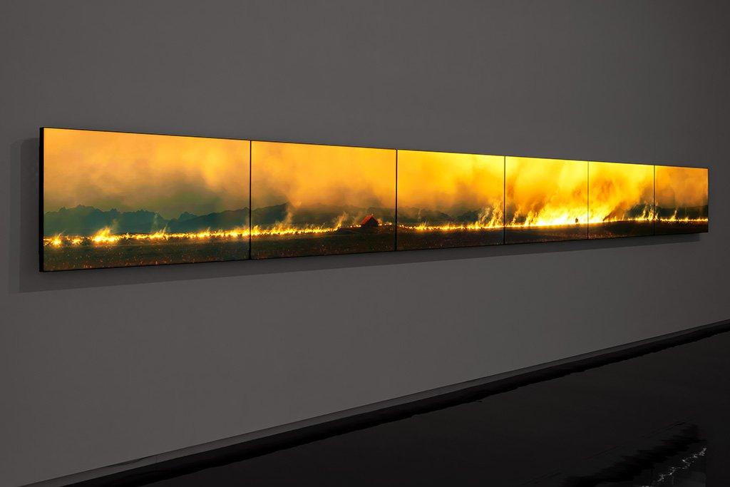 A large peat fire spread across six lcd monitors mounted in a gallery