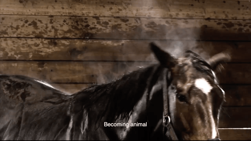 Steam rises off a horse in a stable, subtitles read "becoming animal"