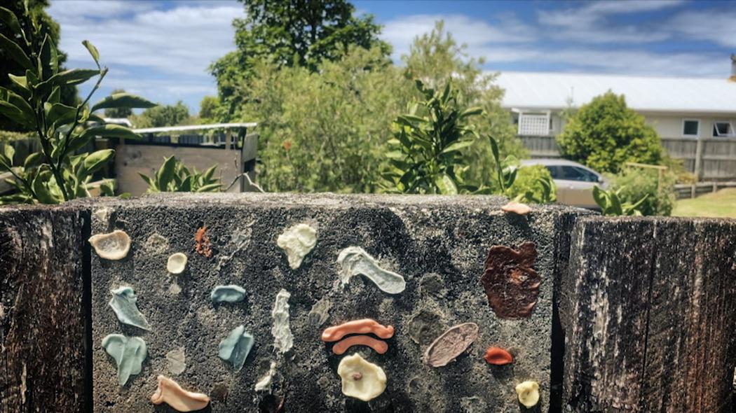 In the lower half of the image, colourful bits of chewing gum are affixed to the concrete of a suburban fence. In the upper half of the image we see the neighbouring suburban property.