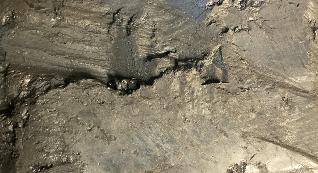 An image of shiny black coal in the side of a mountain.