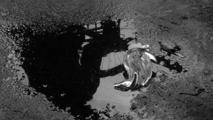 A piece of glass sits in dark puddle on tar-sealed concrete