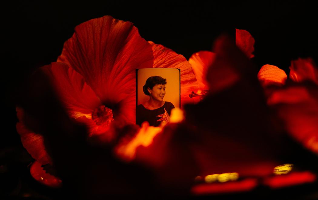 A portrait photograph of a Pasifika woman is set amidst orange-red hibiscus flowers