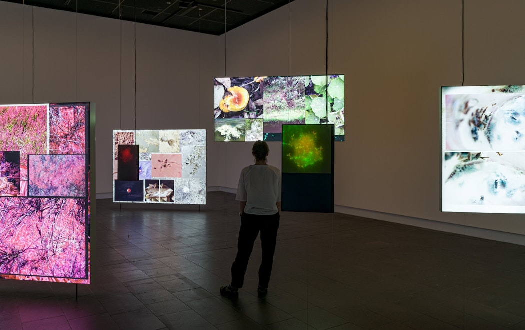 A person stands in front of a large video installation in a dark gallery that is illuminated by the 5 videos shown in this photo. All of the screens are at different heights, some coming up from the floor and some suspended from the ceiling.