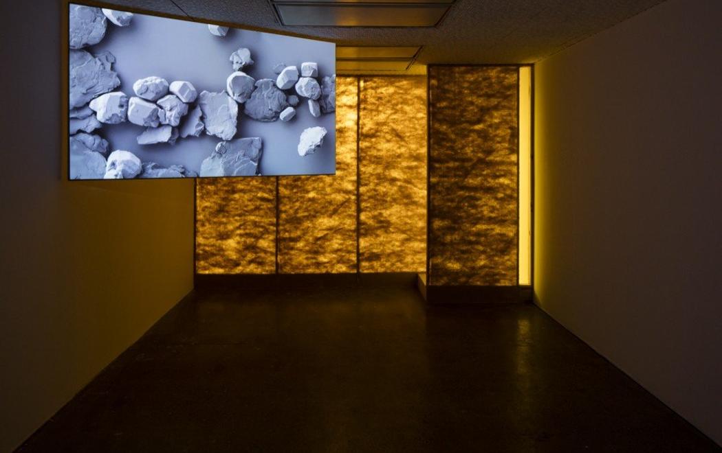 Installation view of Coyotes Running Opposite Ways