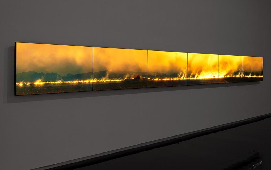 A line of six video screens showing a single massive golden fire in a peat swamp