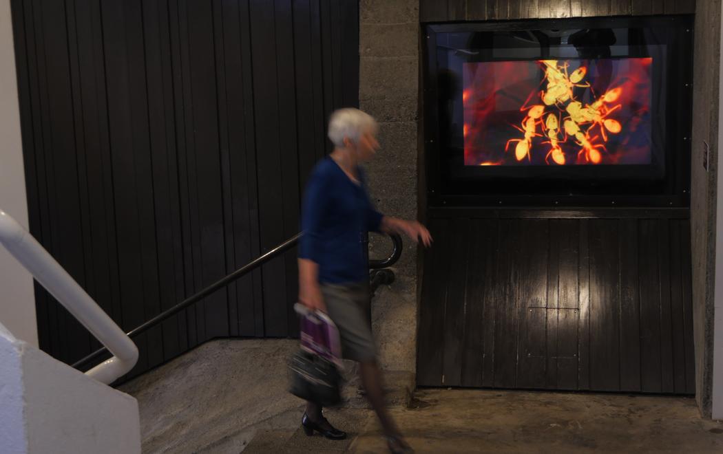 A city person carrying shopping bags walks past Masons screen displaying a firey red image of ants