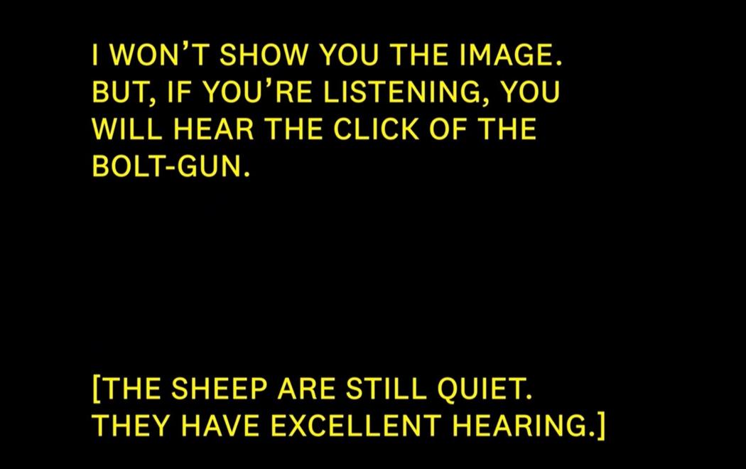 There are two sections of text written in yellow and all capitals. At top it reads; I WON'T SHOW YOU THE IMAGE. BUT, IF YOU'RE LISTENING, YOU WILL HEAR THE CLICK OF THE BOLT-GUN. At bottom, the text reads; [THE SHEEP ARE STILL QUIET. THEY HAVE EXCELLENT HEARING.]