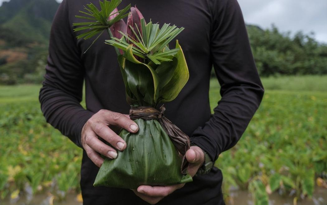 A person holds flowers wrapped in a green palm leaf