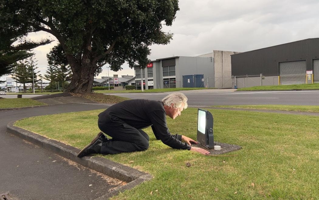 A man kneels on a grass verge and peers into a lamp.