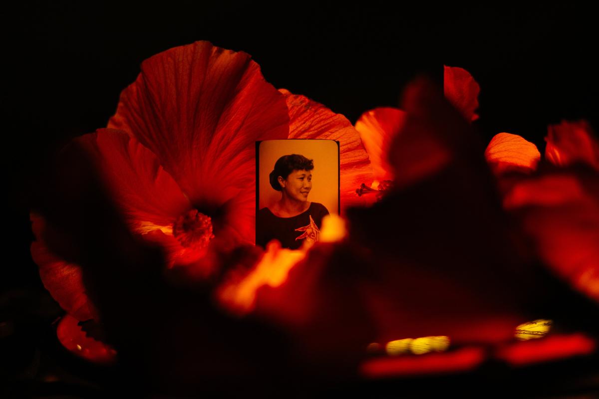 A portrait photograph of a Pasifika woman is set amidst orange-red hibiscus flowers