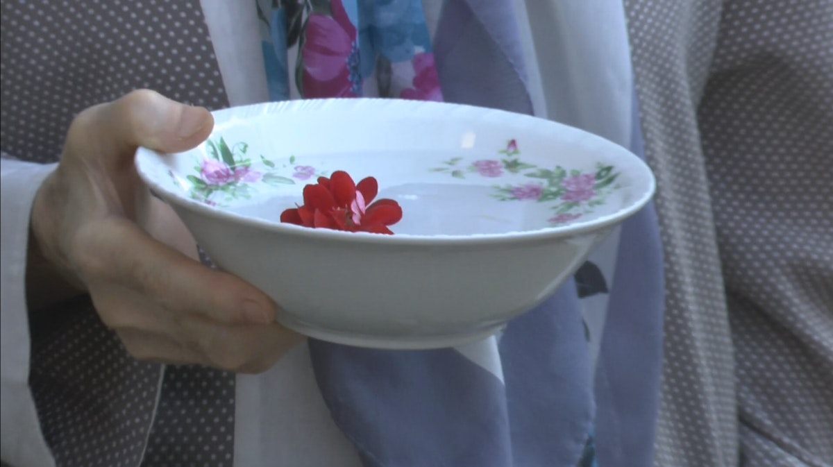 A ceramic bowl with decorative flowers painted on the inside is filled with water and a singular living flower. The bowl is being delicately clasped by the hand of a person who we can not se