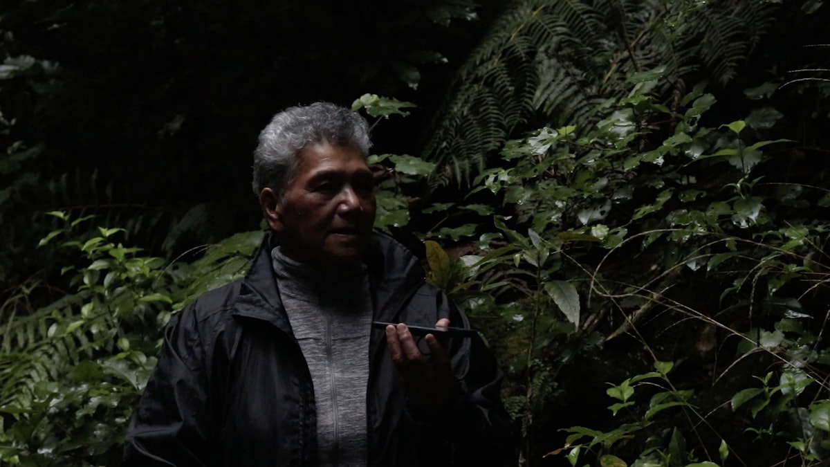 A man speaks into a phone standing in dense bush