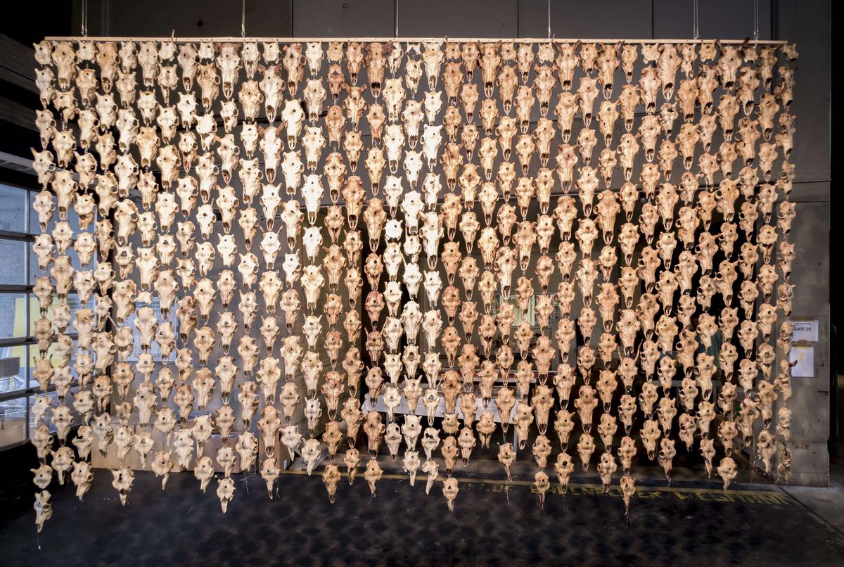 A curtain made of skulls drip down from the ceiling