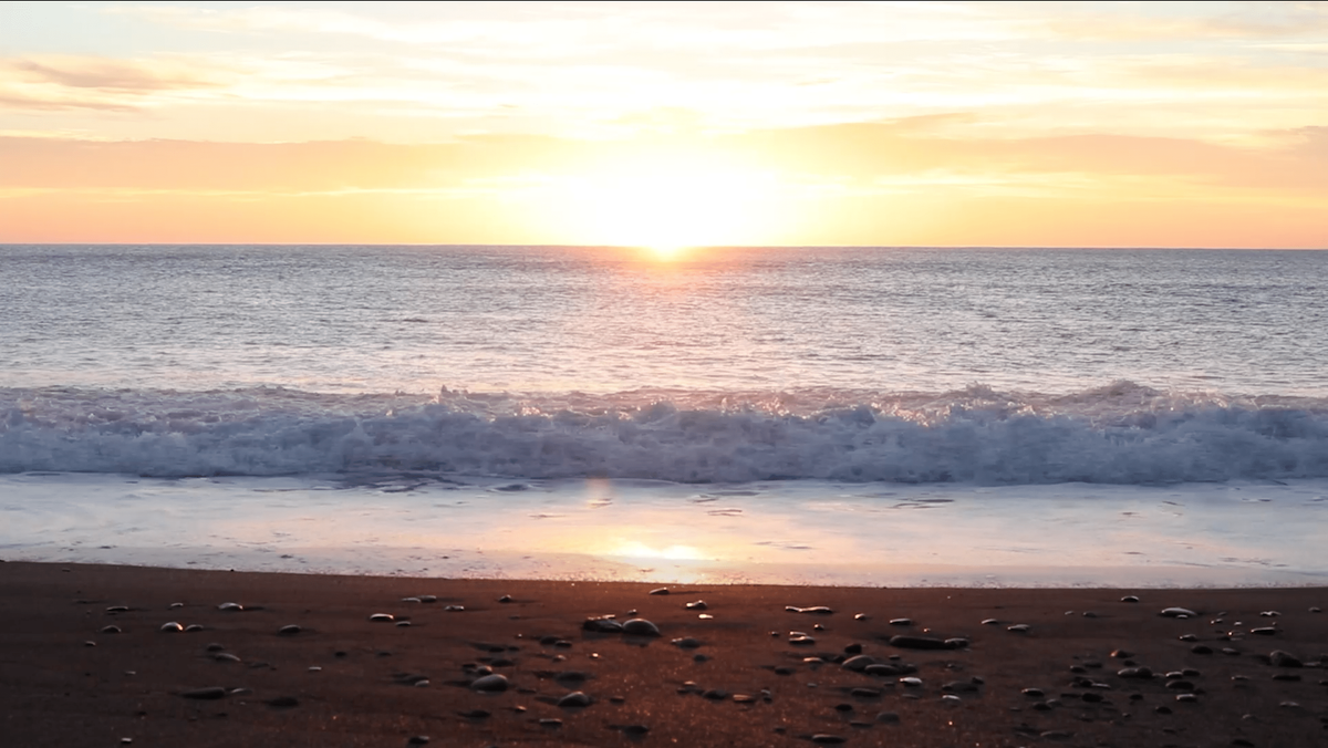 A golden sun rises over the ocean as little waves crash against the shore line in Turanganui-A-Kiwa