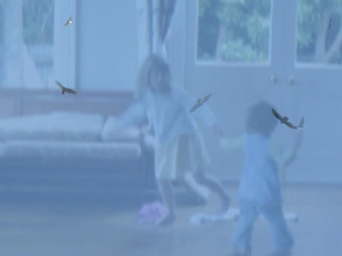 Two images are overlaid. In the background we see a blurred image of two children playing in a suburban lounge. Over the top we see birds flying in a blue sky.