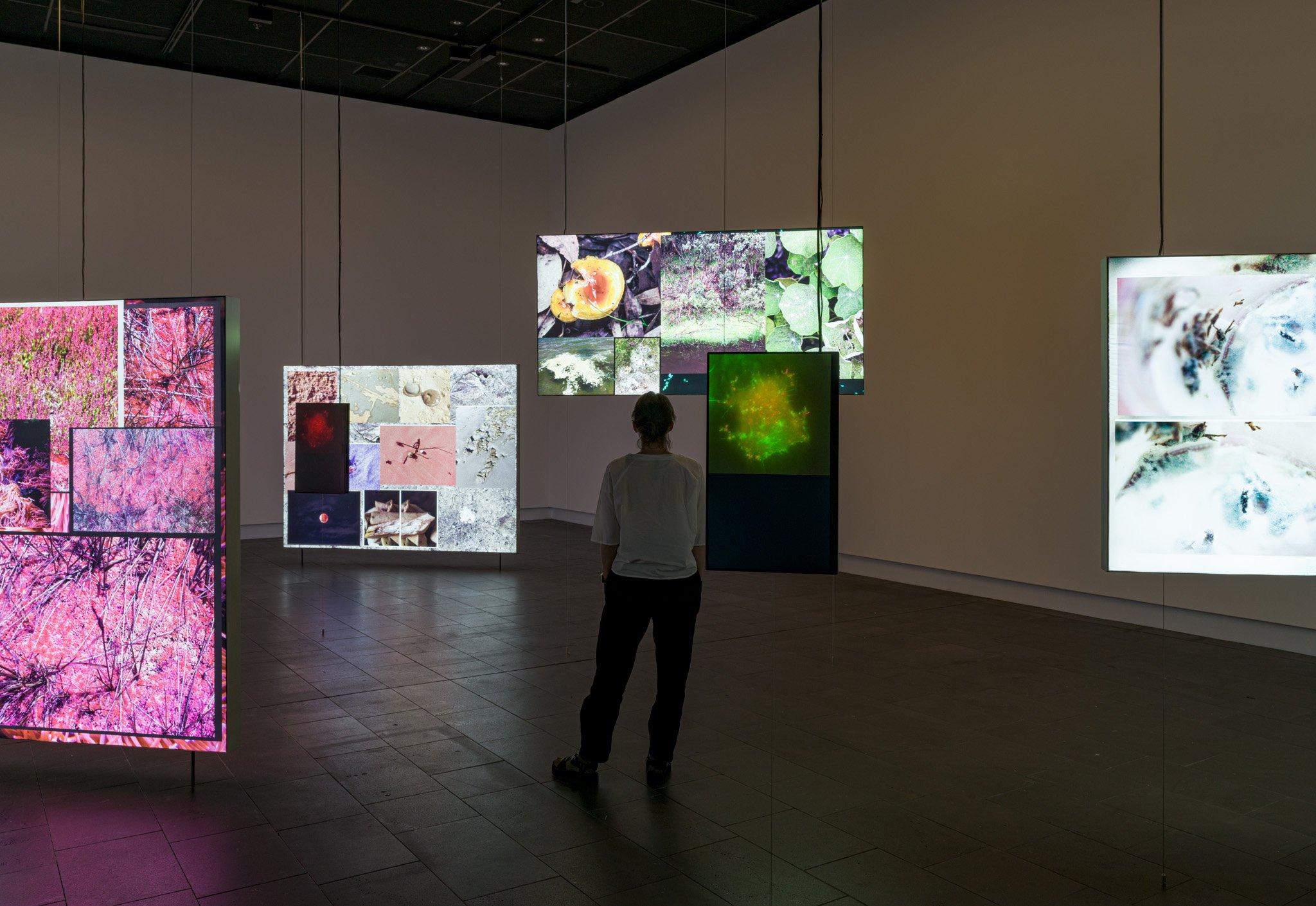 A person stands in front of a large video installation in a dark gallery that is illuminated by the 5 videos shown in this photo. All of the screens are at different heights, some coming up from the floor and some suspended from the ceiling.