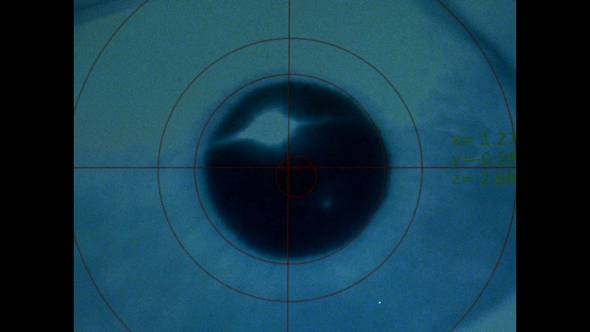 A blue-hued screen with an enlarged iris overlaid with a diagram of a target or viewfinder
